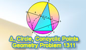 Problema de Geometra 1311