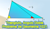 Problema de Geometría 1021 (English ESL): Triangulo, Relaciones-métricas, Angulo Doble