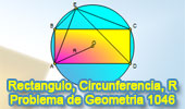 Problema de Geometría 1046 (English ESL): Rectángulo, Circunferencia Circunscrita, Relaciones Métricas.