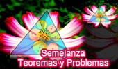 Semejanza: Teoremas y Problemas (Spanish-language version). 