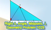 Problema de geometra 1029