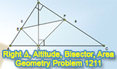 Problema de Geometra English ESL 1211