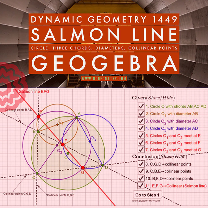 Igs Dynamic Geometry 1449 Salmon Line Interactive Animation Using Geogebra Ipad Apps Poster