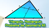 Triangulo rectangulo, puntos medios de hipotenusas