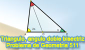 Problema de Geometria 511