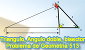 Triangulo con angulo doble y bisectriz