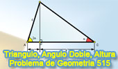 Triangulo, Angulo Doble, Altura