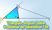 Triangulo, Angulo Doble, Bisector