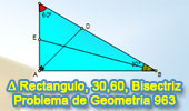 Problema de geometria 963