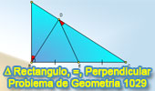 Problema de Geometria 1029