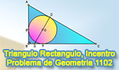 Problema de Geometria 1102