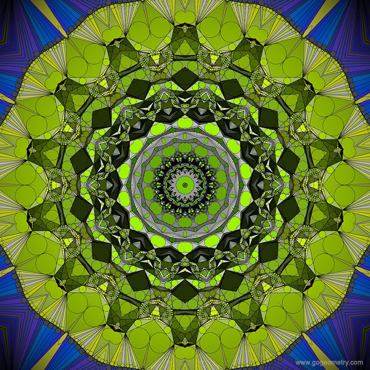 Geometric Art: Kaleidoscope 5 of Gecko Patterns 5 using iPad Apps, tattoo