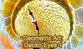 Tokay Gecko Eye, Stereographic Projection