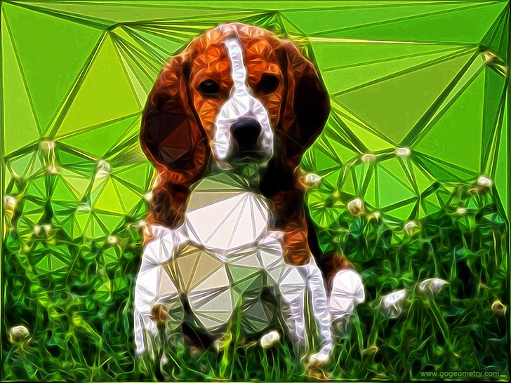 Geometric Art: Mobile Apps, Tricolor Beagle Dog and Delaunay Triangulation, iPad