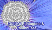 Durer's Pentagon and Rhombus