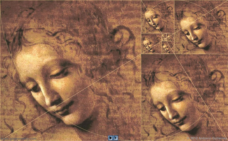 Leonardo da Vinci: 'The Head of a Woman' and Golden Rectangles