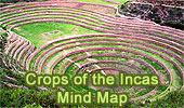 Crops of the Incas