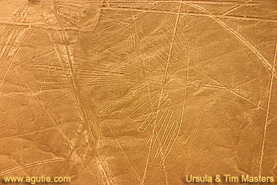 The Condor, Nazca lines