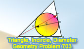 Triangle, Incircle, Diameter