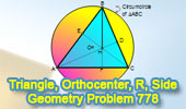 Triangle, Distance from the Orthocenter to a Vertex, Circle, Circumradius, Side, Square.
