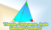 Triangle, cevian, congruence, and angles