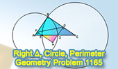 Geometry problem 1165