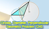 Geometry problem 1240