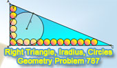 Right Triangle, Inradius, 18 Equal Circles, Line Tangent, Legs, Hypotenuse, Ratio, Metric Relations