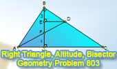 Right Triangle, Altitude, Angle Bisector, Perpendicular, Measurement