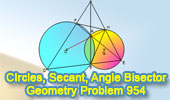 Problema de Geometría 954