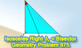 Problema de Geometría 975