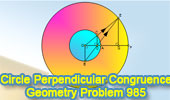 Problema de Geometría 985