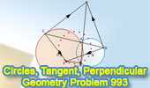 Problema de Geometría 993