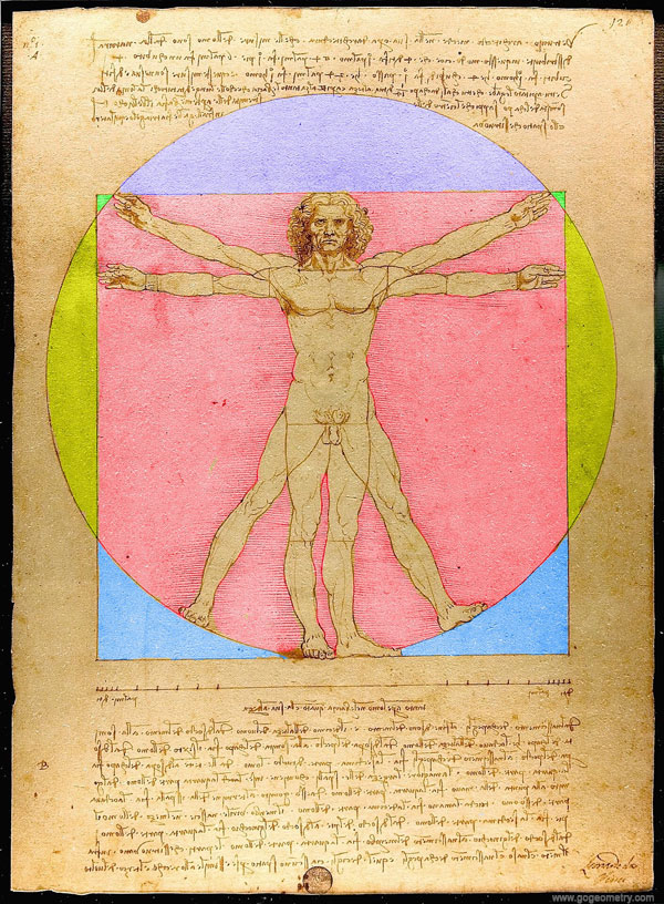 Leonardo: The Vitruvian Man, Selective Colorization Software