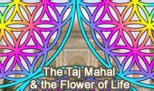 Taj Mahal and the Flower of Life