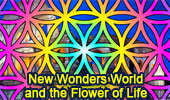 Flower of Life Index
